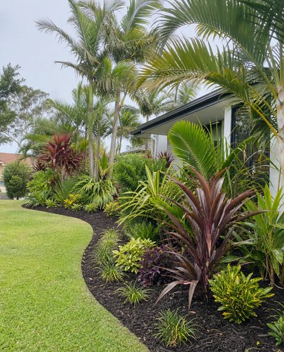Freshly mulched tropical garden bed