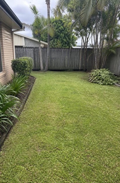 Tidy backyard with pruned branches ready for removal