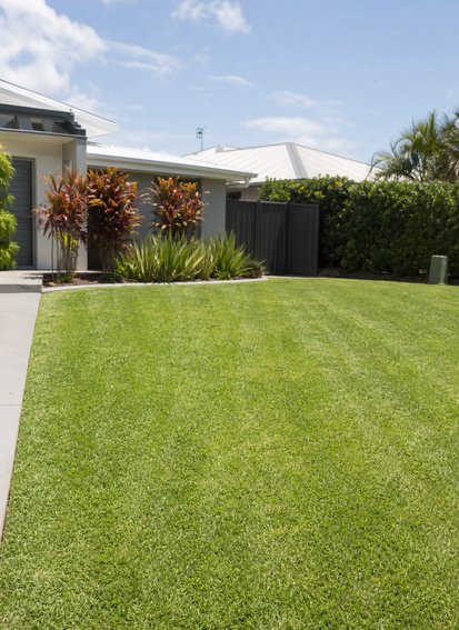 Freshly mowed lawn at a Gold Coast home