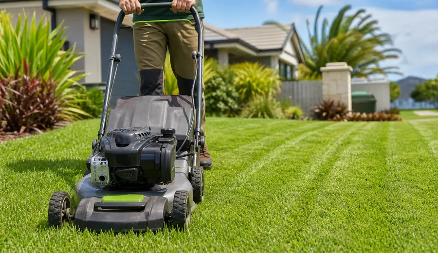 Freshly mowed lawn at a Gold Coast home